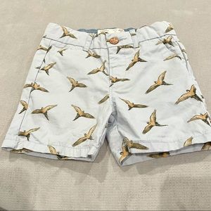 Zara BabyBoy Shorts 6-9 Mo